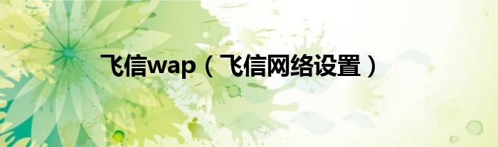 飞信wap（飞信网络设置）