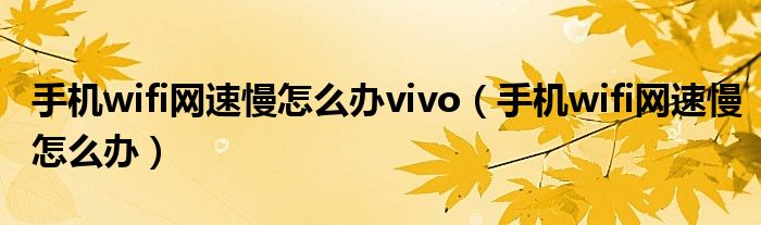 手机wifi网速慢怎么办vivo（手机wifi网速慢怎么办）