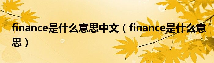 finance是什么意思中文（finance是什么意思）