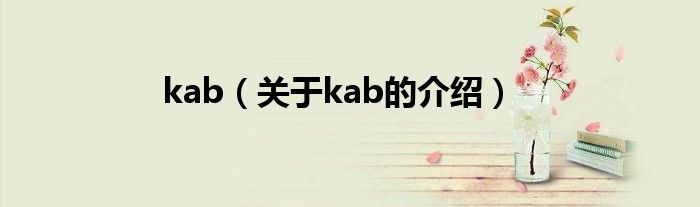 kab（关于kab的介绍）