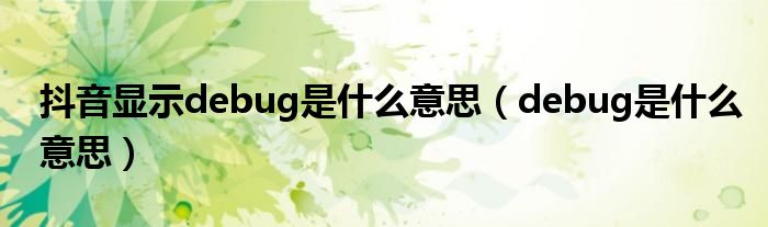 抖音显示debug是什么意思（debug是什么意思）