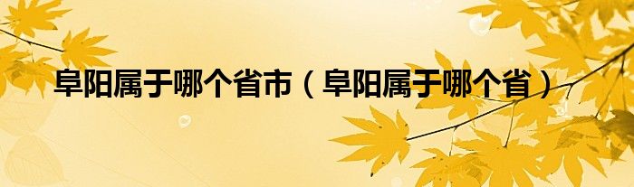 阜阳属于哪个省市（阜阳属于哪个省）