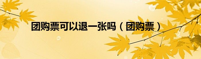 团购票可以退一张吗（团购票）