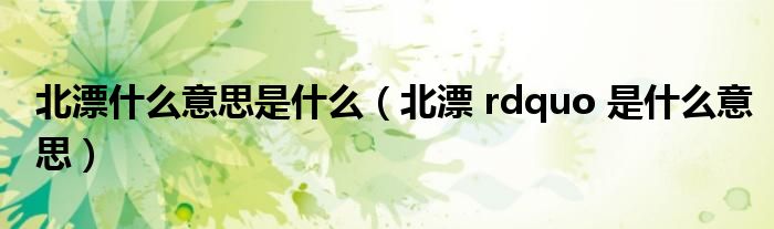 北漂什么意思是什么（北漂 rdquo 是什么意思）