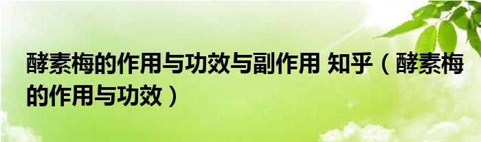 酵素梅的作用与功效与副作用 知乎（酵素梅的作用与功效）