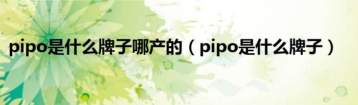 pipo是什么牌子哪产的（pipo是什么牌子）