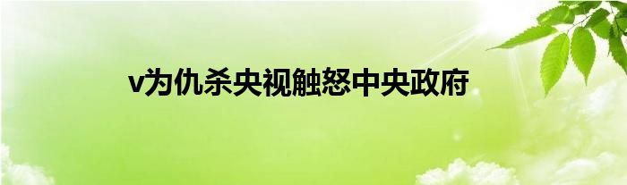 v为仇杀央视触怒中央政府