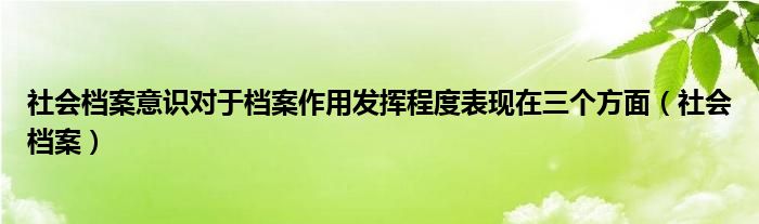 社会档案意识对于档案作用发挥程度表现在三个方面（社会档案）