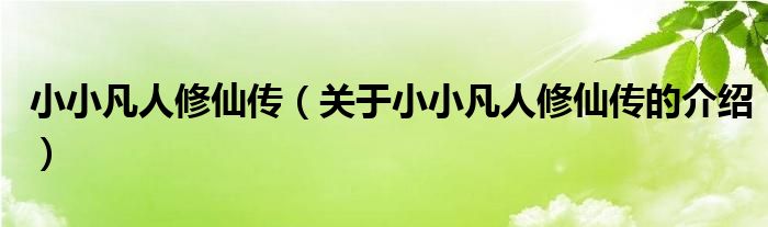 小小凡人修仙传（关于小小凡人修仙传的介绍）