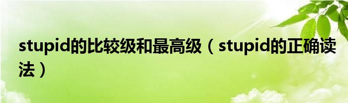 stupid的比较级和最高级（stupid的正确读法）