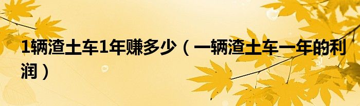 1辆渣土车1年赚多少（一辆渣土车一年的利润）