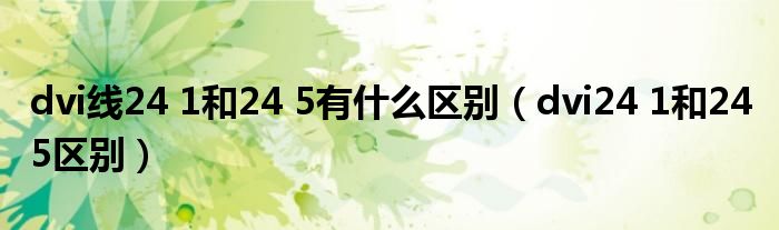 dvi线24 1和24 5有什么区别（dvi24 1和24 5区别）