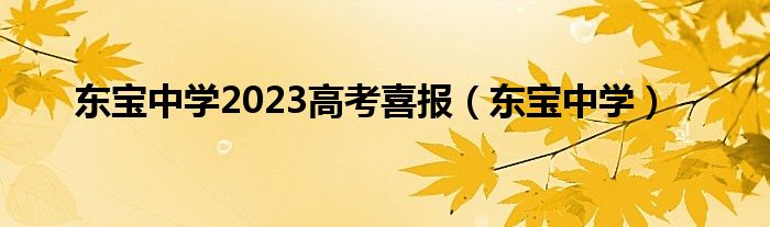 东宝中学2023高考喜报（东宝中学）