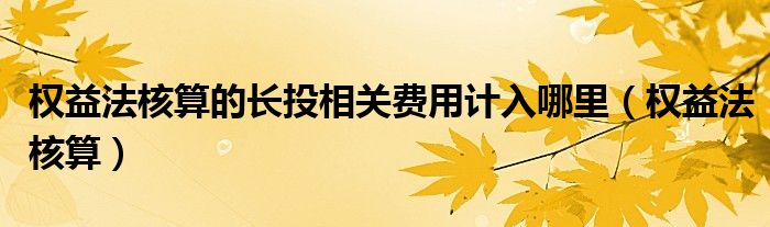 权益法核算的长投相关费用计入哪里（权益法核算）