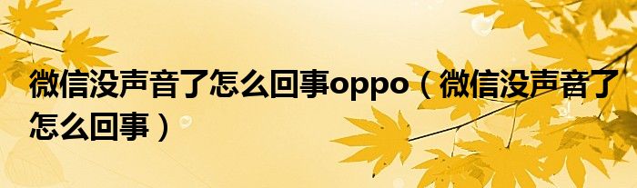 微信没声音了怎么回事oppo（微信没声音了怎么回事）