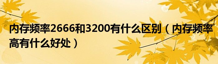 内存频率2666和3200有什么区别（内存频率高有什么好处）