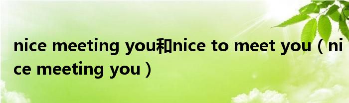 nice meeting you和nice to meet you（nice meeting you）