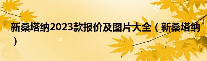 新桑塔纳2023款报价及图片大全（新桑塔纳）