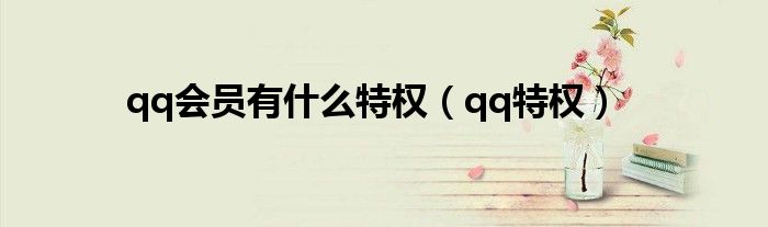 qq会员有什么特权（qq特权）