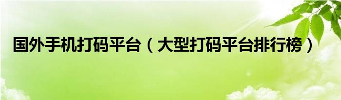 国外手机打码平台（大型打码平台排行榜）