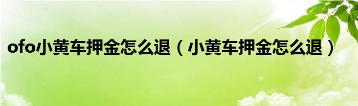 ofo小黄车押金怎么退（小黄车押金怎么退）