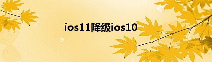 ios11降级ios10