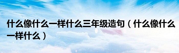 什么像什么一样什么三年级造句（什么像什么一样什么）