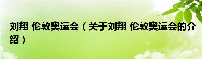 刘翔 伦敦奥运会（关于刘翔 伦敦奥运会的介绍）