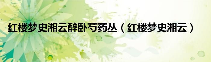 红楼梦史湘云醉卧芍药丛（红楼梦史湘云）