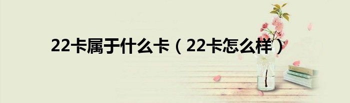 22卡属于什么卡（22卡怎么样）