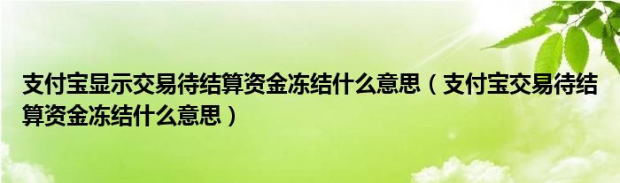 支付宝显示交易待结算资金冻结什么意思（支付宝交易待结算资金冻结什么意思）