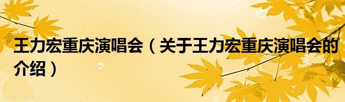 王力宏重庆演唱会（关于王力宏重庆演唱会的介绍）