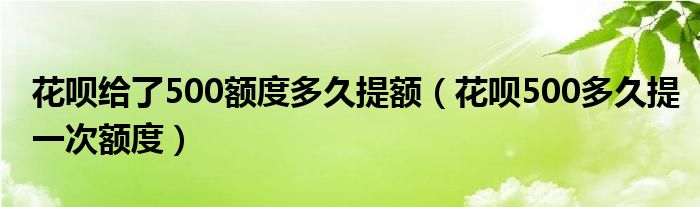 花呗给了500额度多久提额（花呗500多久提一次额度）