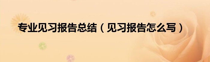 专业见习报告总结（见习报告怎么写）