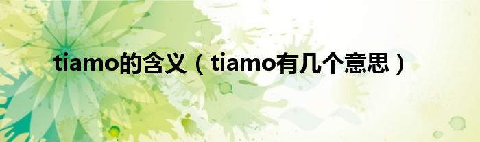 tiamo的含义（tiamo有几个意思）