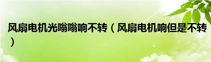 风扇电机光嗡嗡响不转（风扇电机响但是不转）