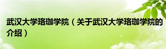 武汉大学珞珈学院（关于武汉大学珞珈学院的介绍）