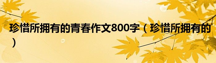 珍惜所拥有的青春作文800字（珍惜所拥有的）