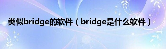 类似bridge的软件（bridge是什么软件）