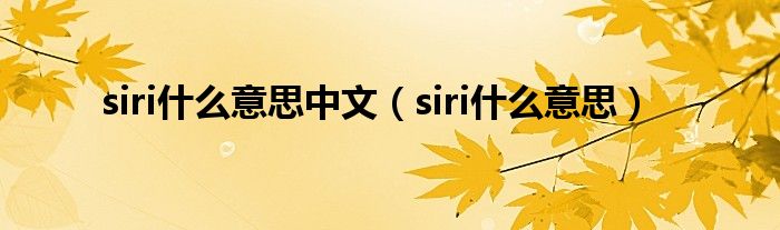 siri什么意思中文（siri什么意思）