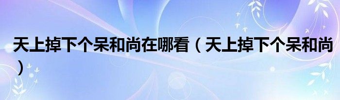 天上掉下个呆和尚在哪看（天上掉下个呆和尚）