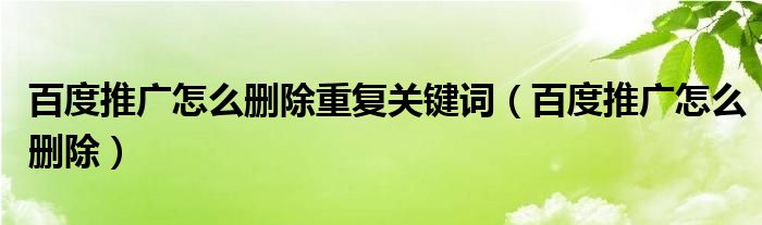 百度推广怎么删除重复关键词（百度推广怎么删除）