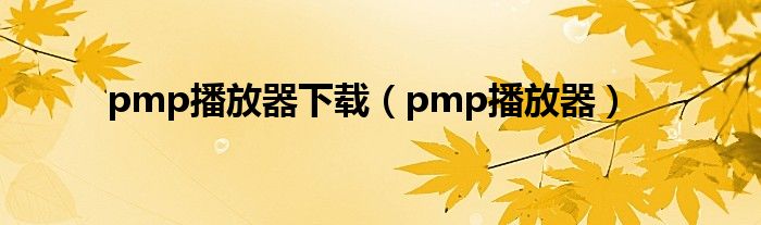 pmp播放器下载（pmp播放器）