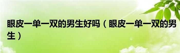 眼皮一单一双的男生好吗（眼皮一单一双的男生）