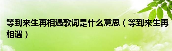 等到来生再相遇歌词是什么意思（等到来生再相遇）