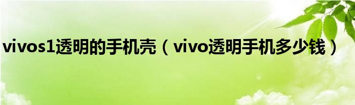 vivos1透明的手机壳（vivo透明手机多少钱）