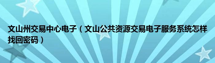 文山州交易中心电子（文山公共资源交易电子服务系统怎样找回密码）