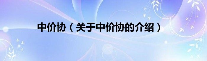 中价协（关于中价协的介绍）