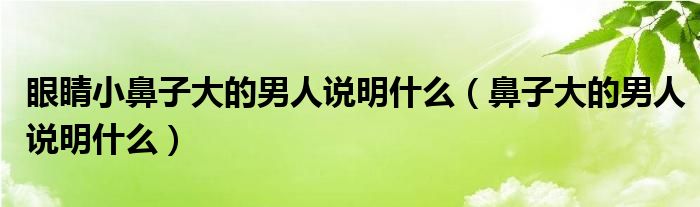 眼睛小鼻子大的男人说明什么（鼻子大的男人说明什么）