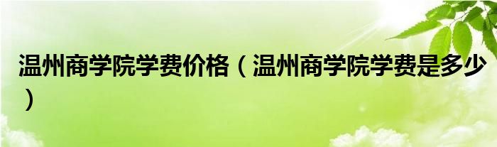 温州商学院学费价格（温州商学院学费是多少）